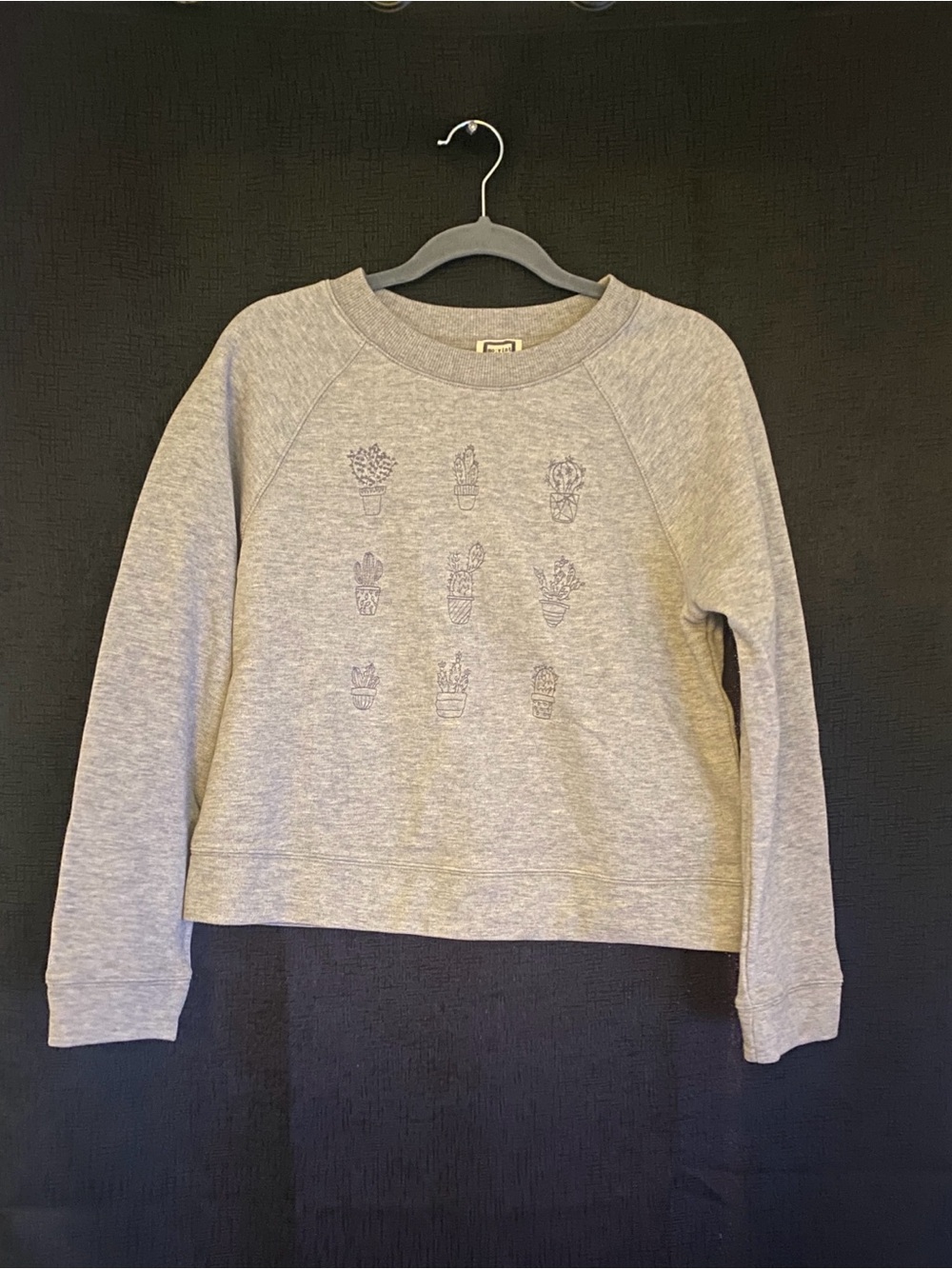 No:Vint - NWT Grey Crewneck Sweatshirt with Subtle Cactus Embroidery